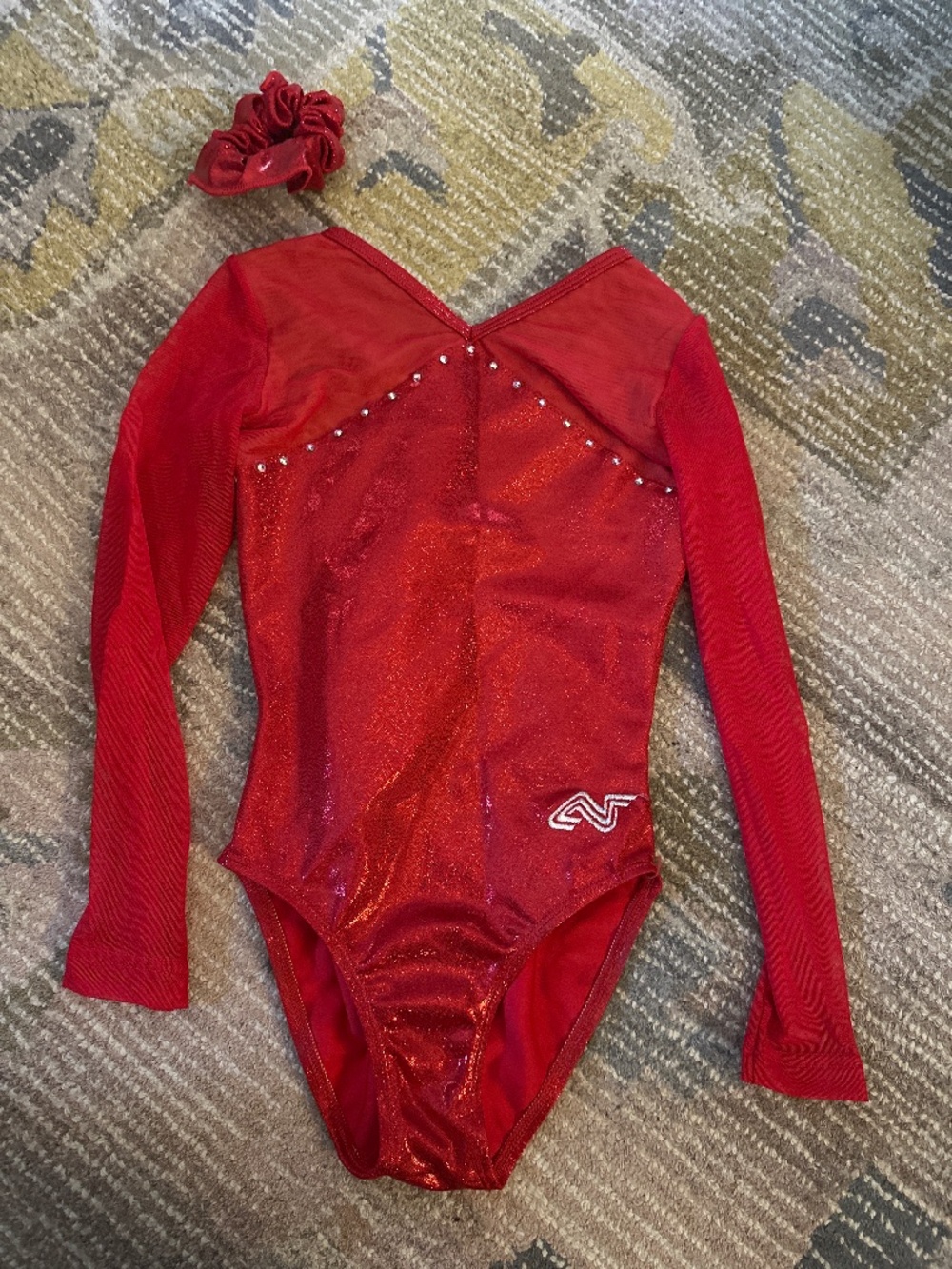 Red Leotard with hair tie